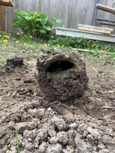 clogged drainage pipe